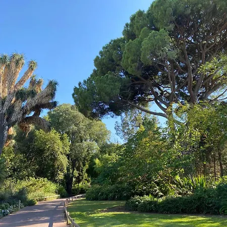 Appartement Cap Sud 83 Vue 200m Plages