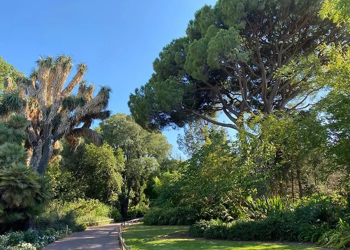 Lägenhet Cap Sud 83 Vue 200m Plages